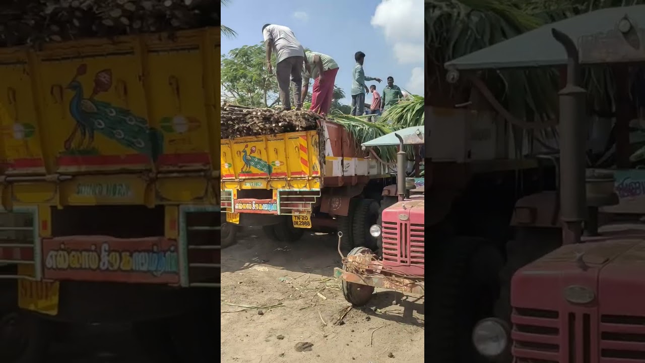 மக்கள் சக்தி நம்மவர் 