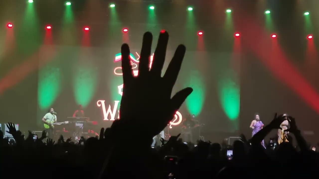 The Wailers - Positive Vibration