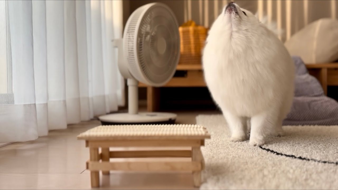 朝ごはんを食べる！