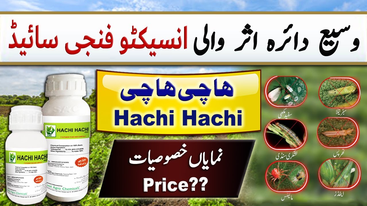 An effective insecto-fungicide, Hachi Hachi || Crop Reformer