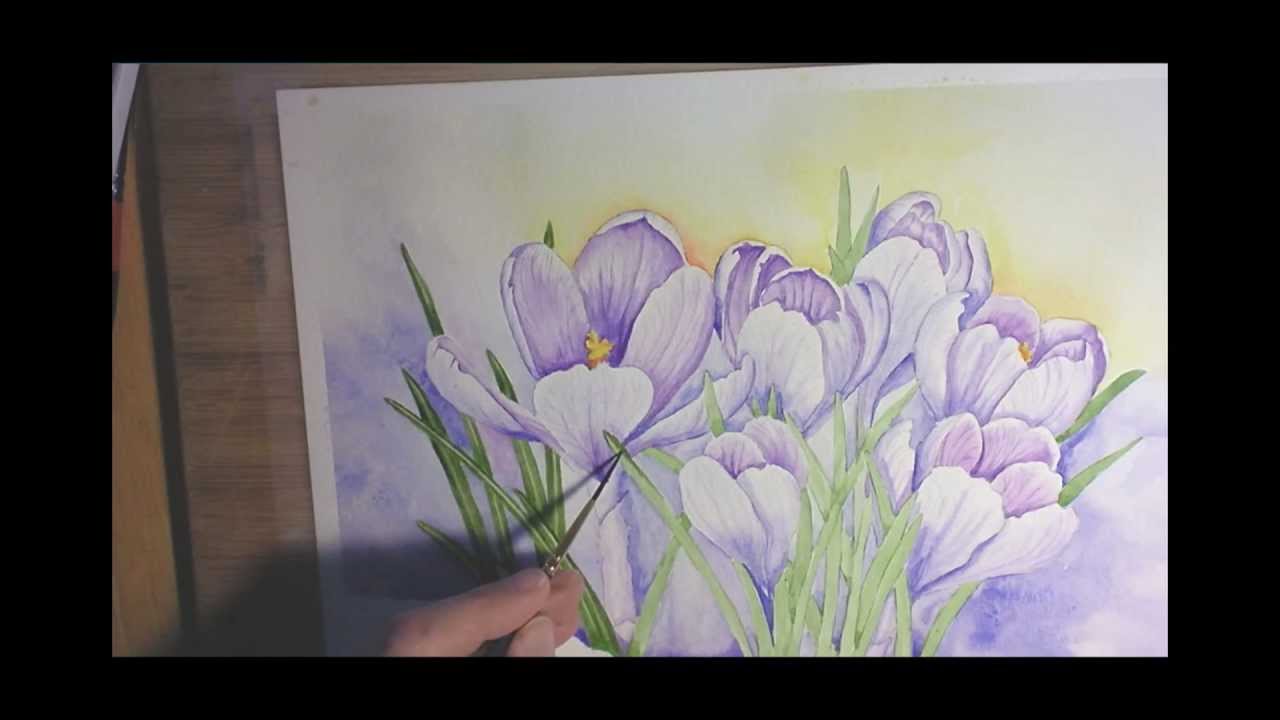 Crocuses in Watercolor - Painting Process