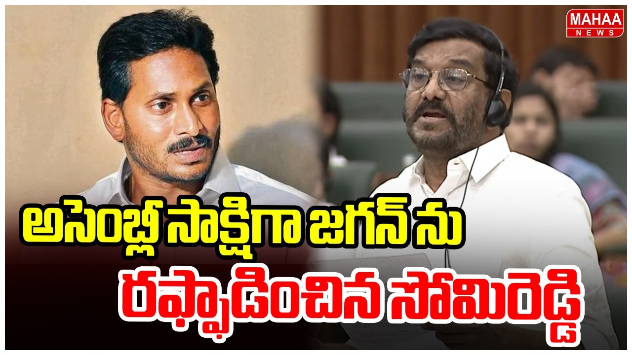 అసెంబ్లీ సాక్షిగా జగన్ ను రఫ్ఫాడించిన సోమిరెడ్డి | MLA Somireddy Fire On YS Jagan | AP Assembly