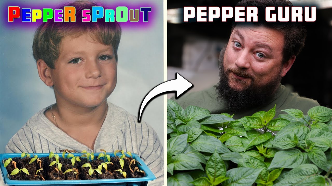 30 Years Of Pepper Seedling Mistakes To Avoid