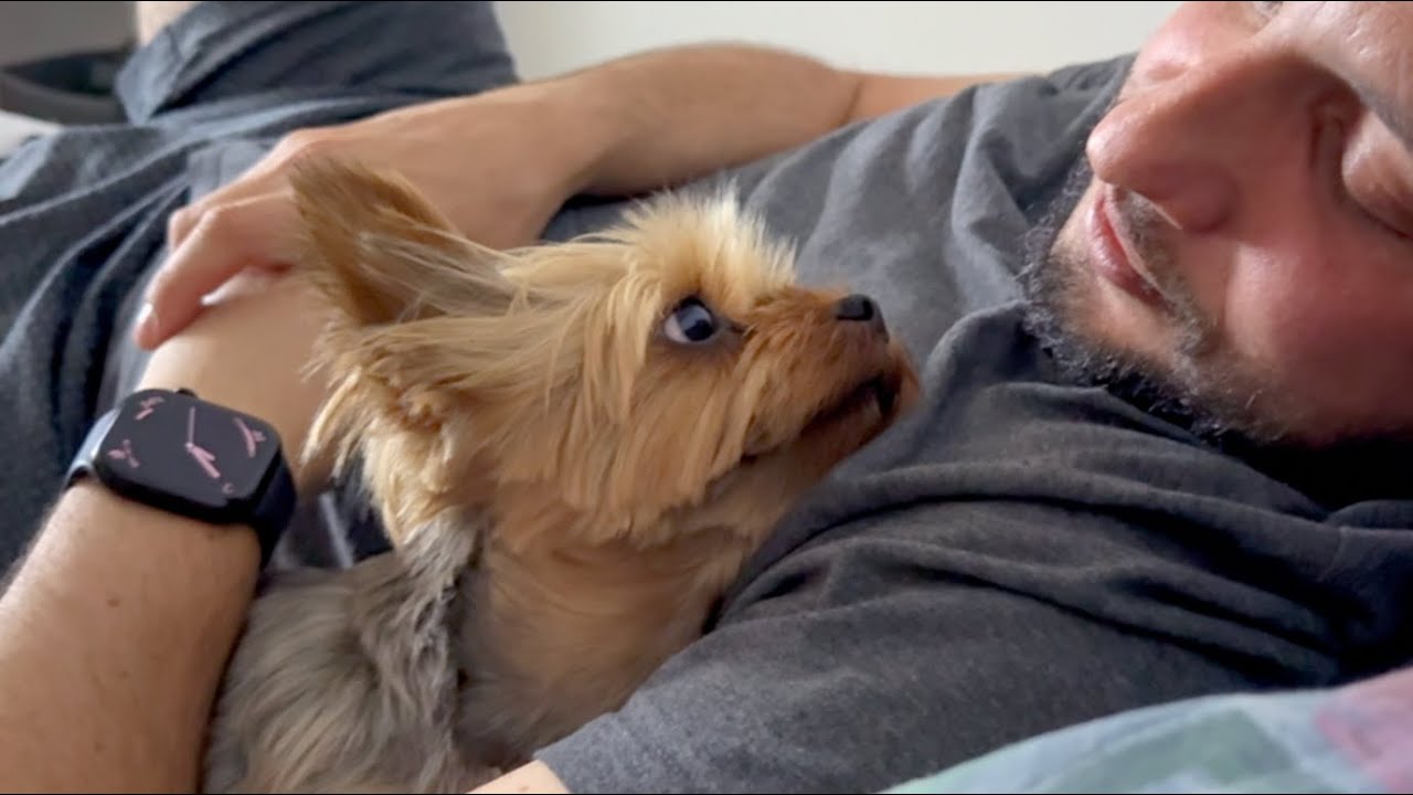 My husband loves our dog more than he loves me…?!
