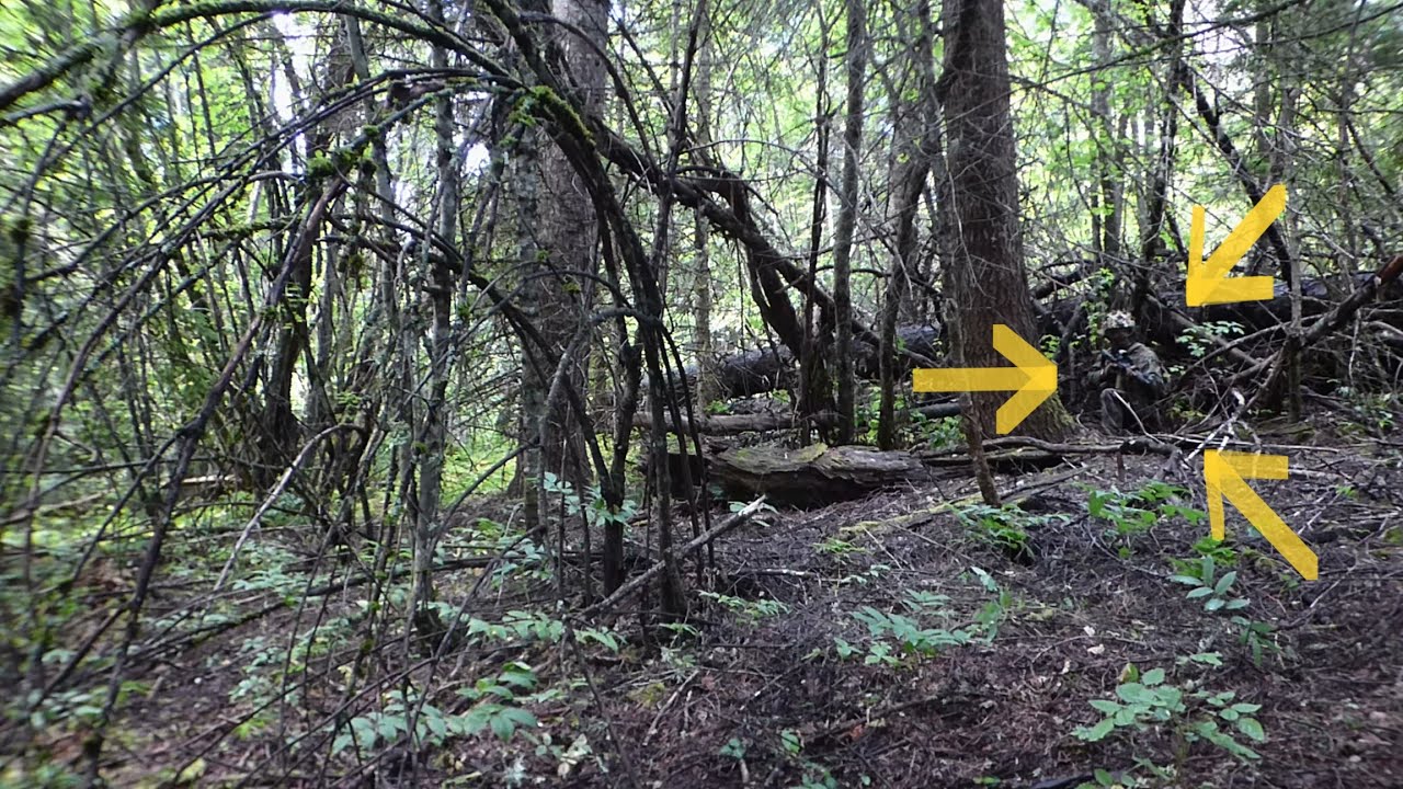 DEVIL DOG CAMO ( MARPAT WOODLAND ) EFFECTIVENESS VIDEO