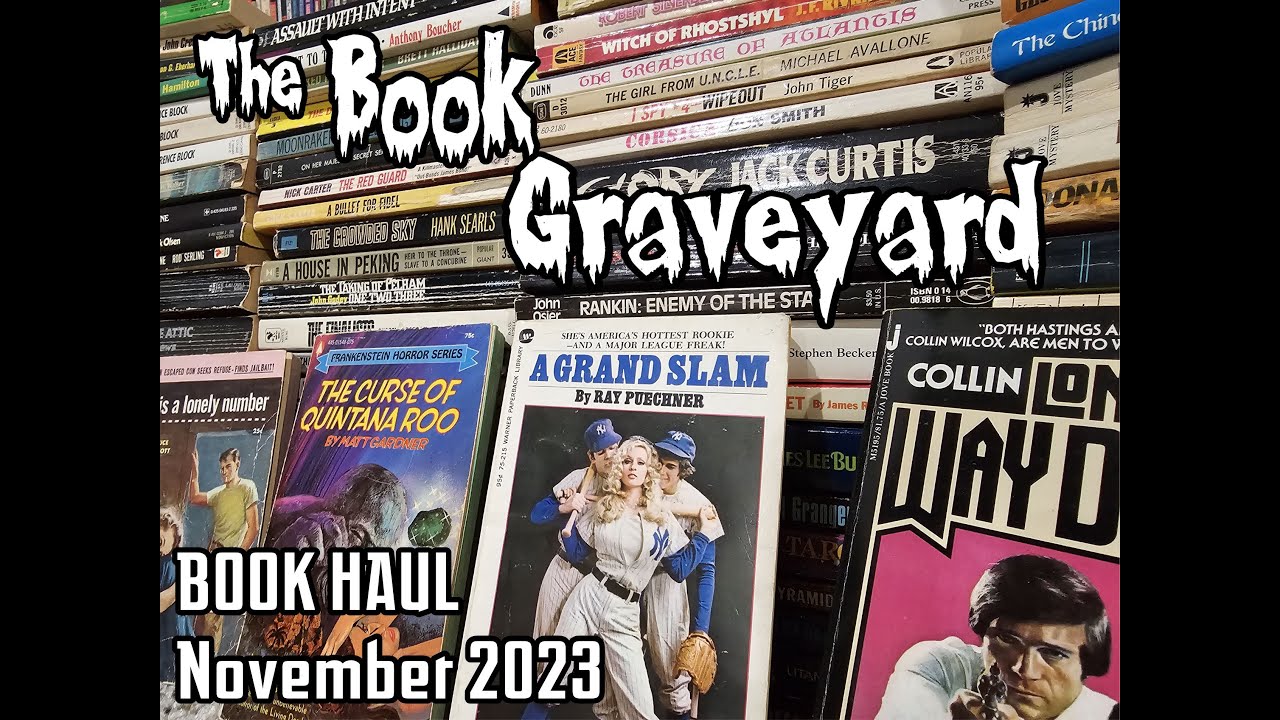 Book Haul for Nov 2023 (vintage paperbacks- horror, spy, mystery, crime, sleaze etc)