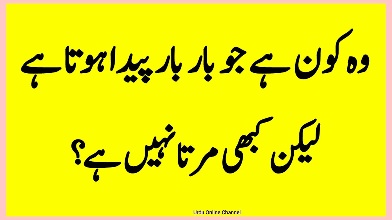 Paheliyan Riddles Puzzles in Urdu || Common Sense Question Answers || Sawal Jawab #riddles #paheli 