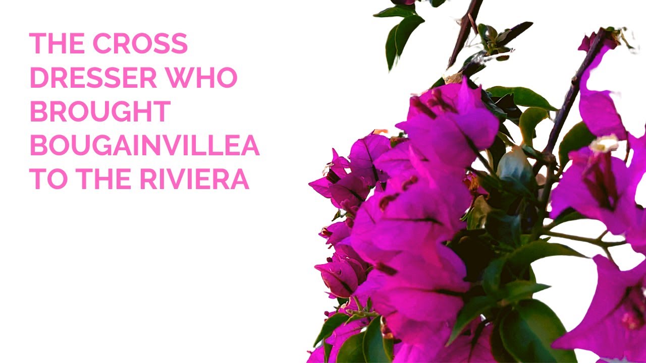 Jeanne Baret, The Cross Dresser who brought Bougainvillea to Nice, France