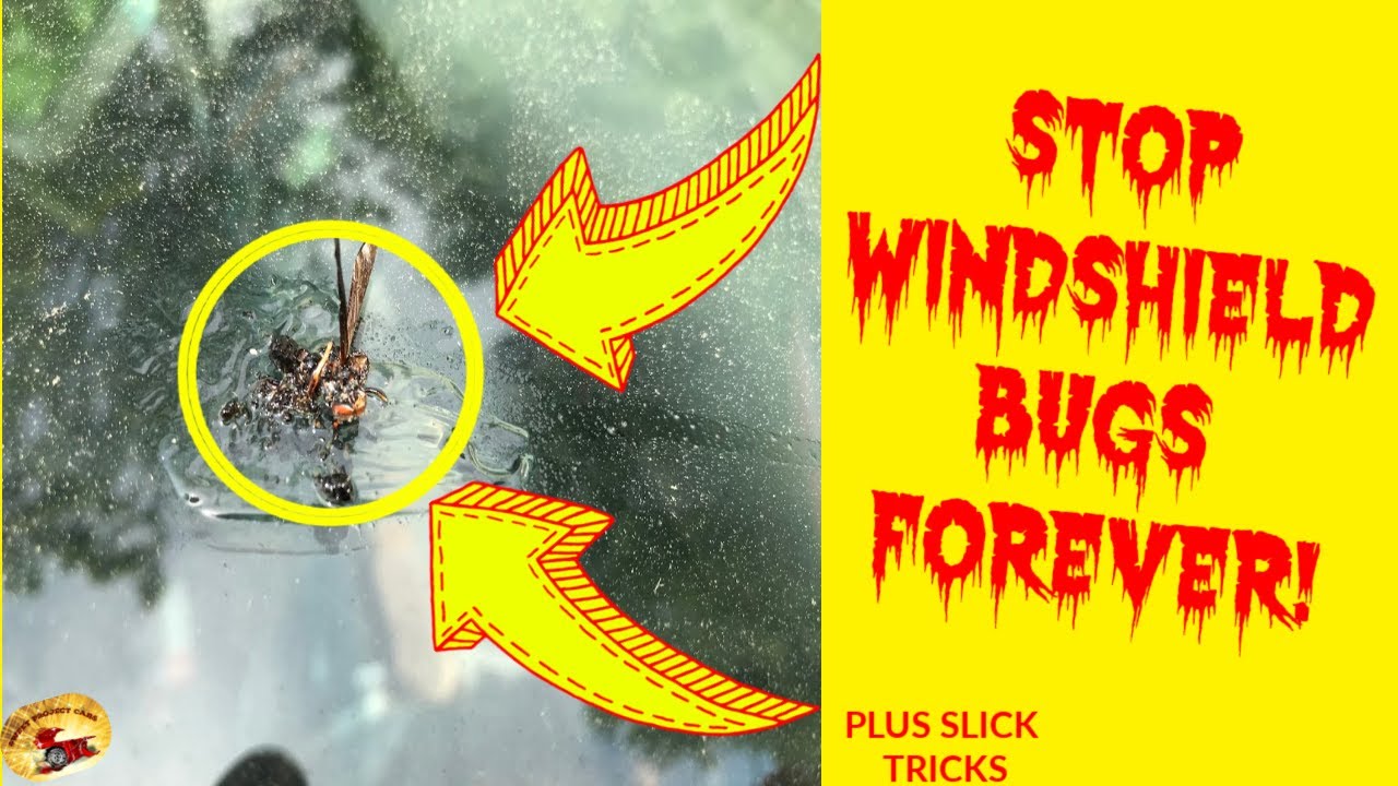 HOW To KEEP BUGS From Sticking To GLASS FOREVER!...a Secret Concoction REVEALED