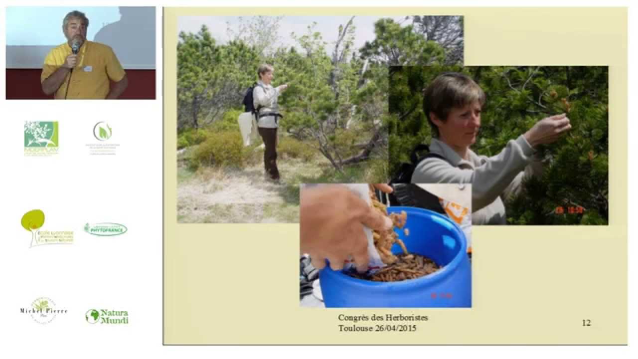 La gemmothérapie scientifique : une phytothérapie du futur - Congrès des Herboristes 2015
