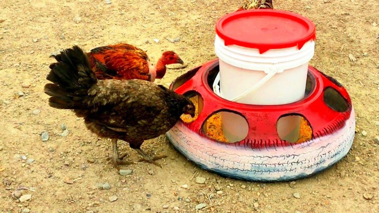 como hacer COMEDERO para GALLINAS el mas RESISTENTE y FÁCIL de HACER de LLANTA RECICLADA,