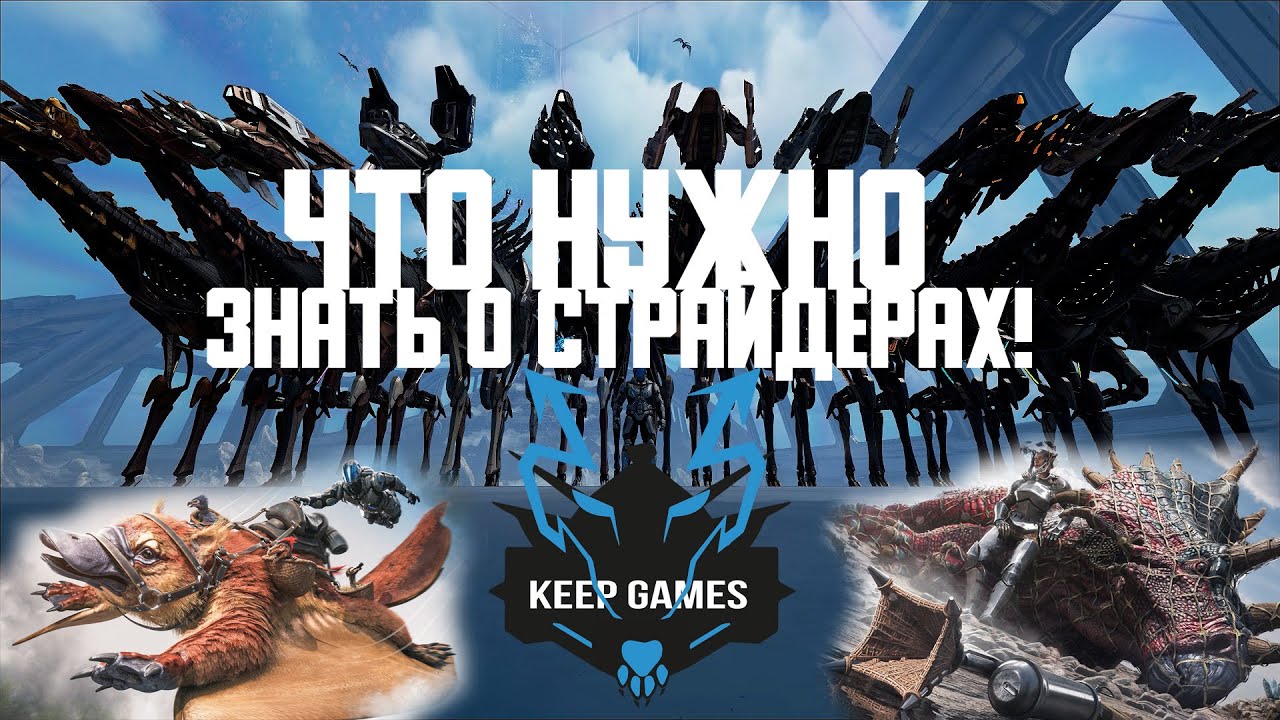 Что НУЖНО знать о страйдерах, их типах и их БАГЕ! Особенности сети и Мейвинг!  stryder