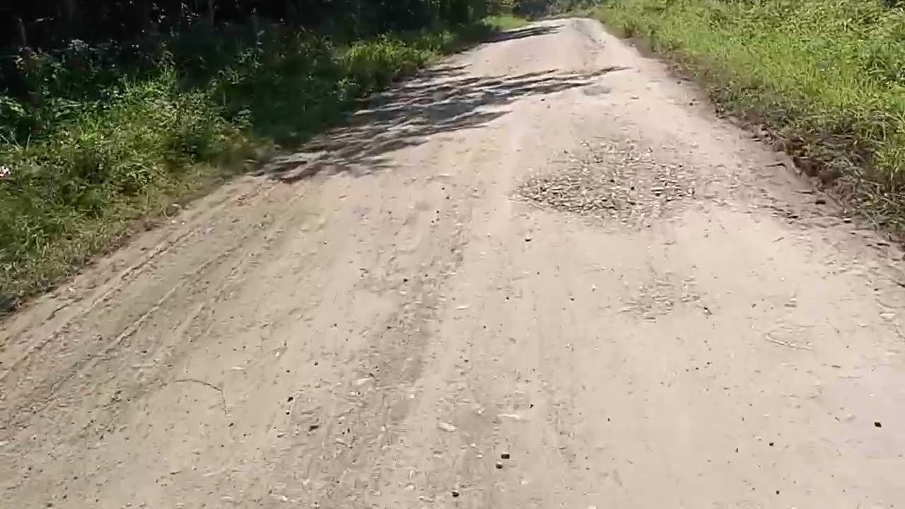 De Rangel al Aguacate 02/01/2026.