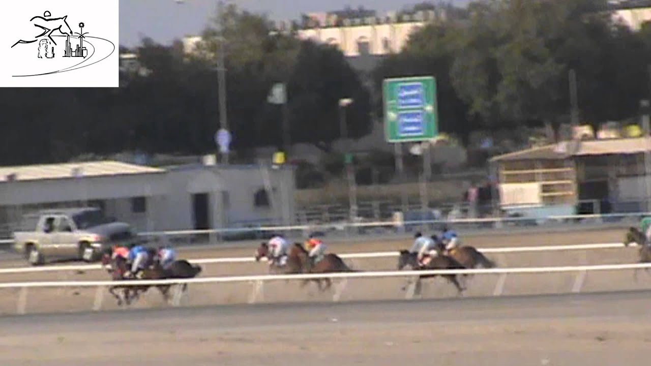 05 الشوط الخامس الحفل الثاني عشر تصفية عز الخيل المبدئية ميدان فروسية الجبيل موسم 1435 1436