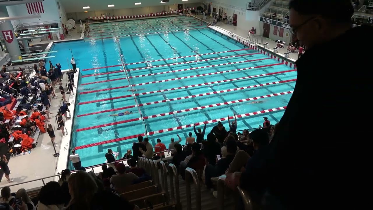 W 1000 Free H1