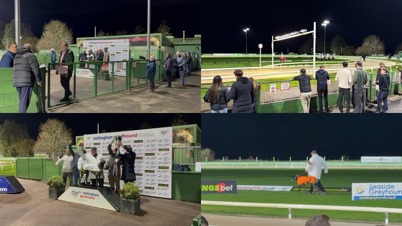 Back at the greyhounds 🐶 | Day At The Races