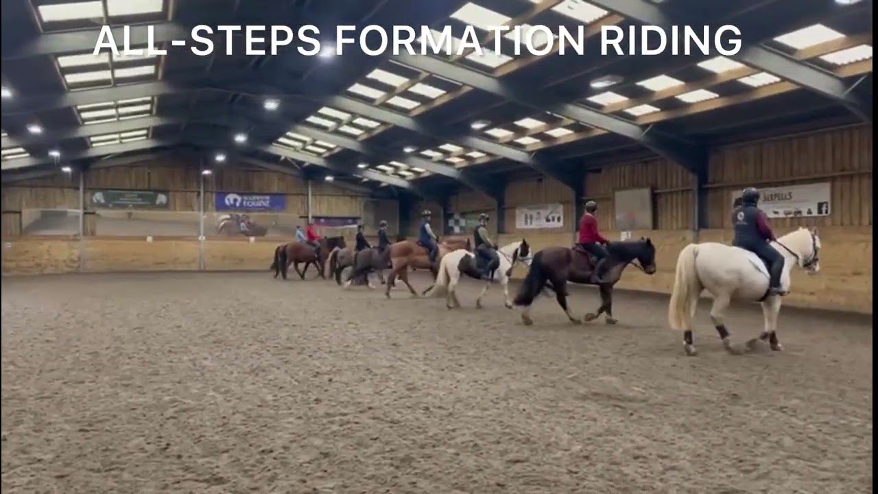 Fitzworthy EC 15/02/26 Al-Steps Formation Riding clinic 