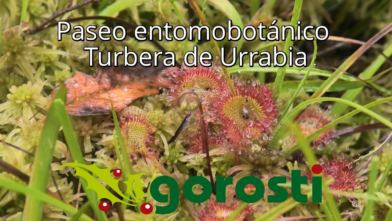 ¡Descubriendo los secretos de la Turbera de Urrabia!