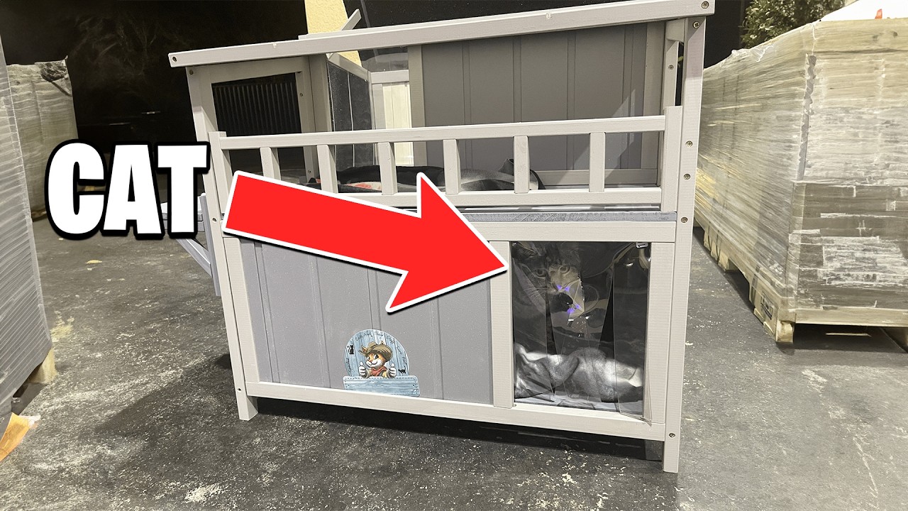 Building a Stray Cat a $130 House 😍