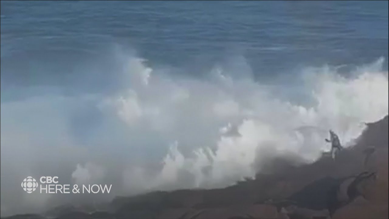 Another too-close call at Cape Spear