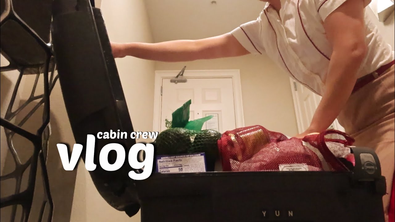승무원 vlog) 오늘도 수트케이스와 씨름하는 브이로그 | 짧은 휴가 기록 | 프랑크푸르트 🇩🇪, 미국 올랜도 🇺🇸 비행, 올랜도 아울렛, 코스트코 탐방 