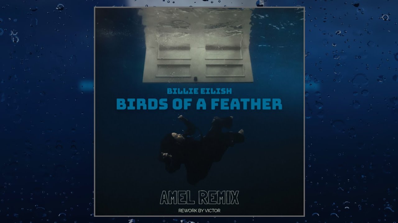 BILLIE EILISH - Birds Of A Feather (AMEL REMIX) EXTENDED MIX
