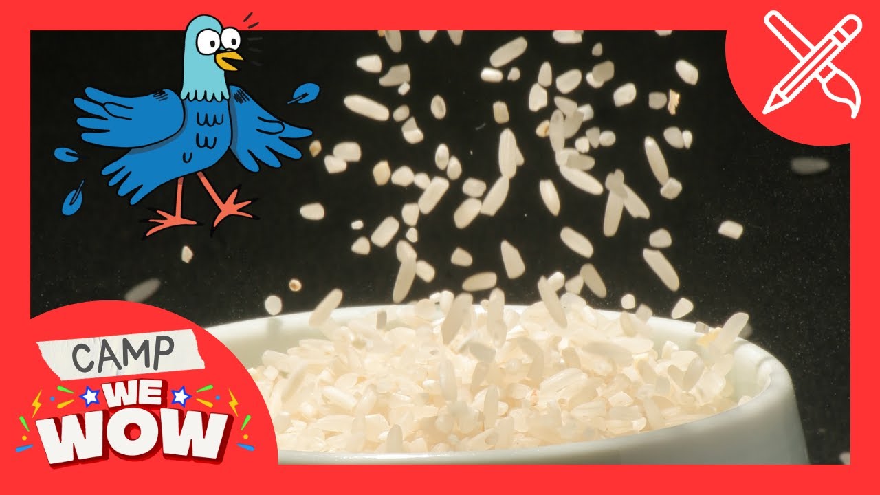 Dancing Rice! 🍚🕺 | Camp WeWow | Mini Podcast Episode for Kids