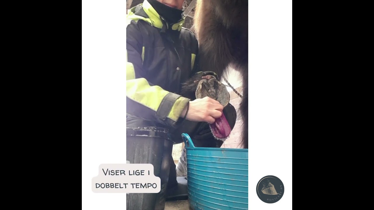 Oprensning af sur str&aring;le p&aring; hest i 3 trin. Behandlingsperiode: 1 uge