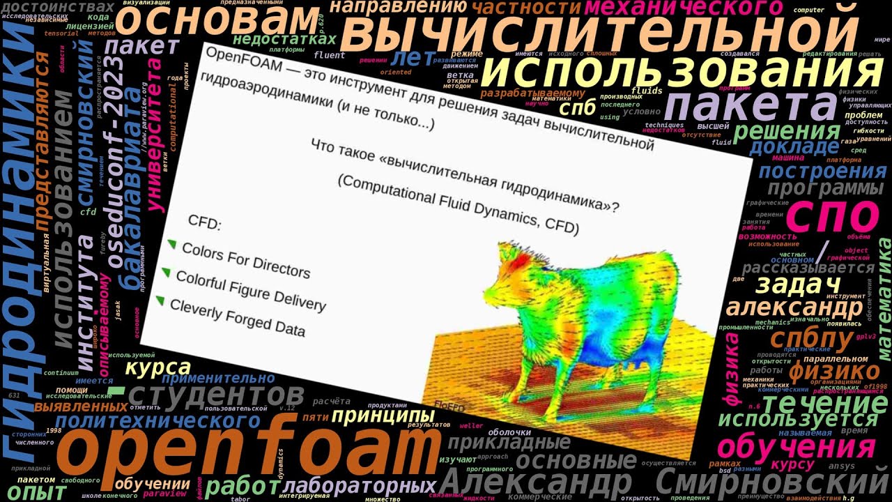 Опыт использования СПО OpenFOAM для обучения основам вычислительной гидродинамики в СПбПУ (Александ…