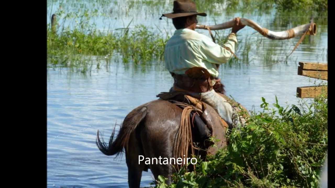 Trem do Pantanal