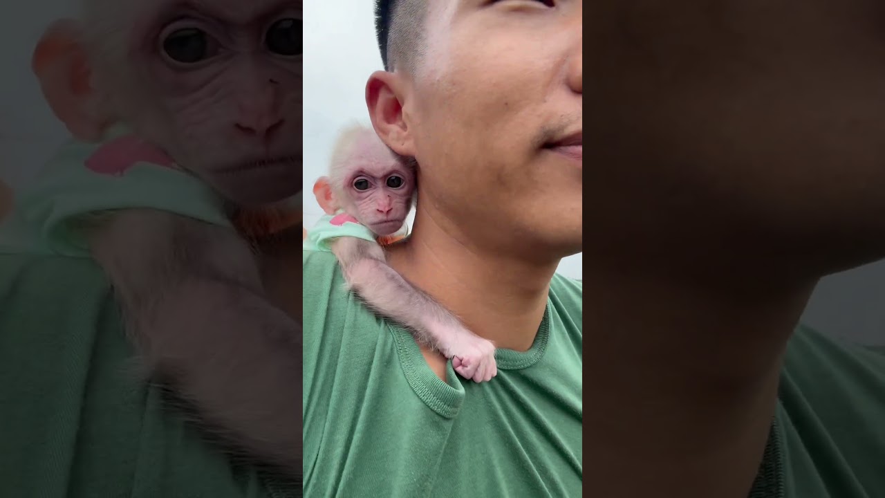 Bibi hugs dad's neck