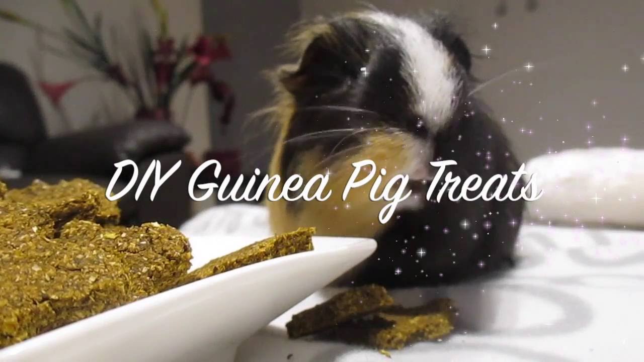 ♡ DIY Guinea Pig Treats ♡