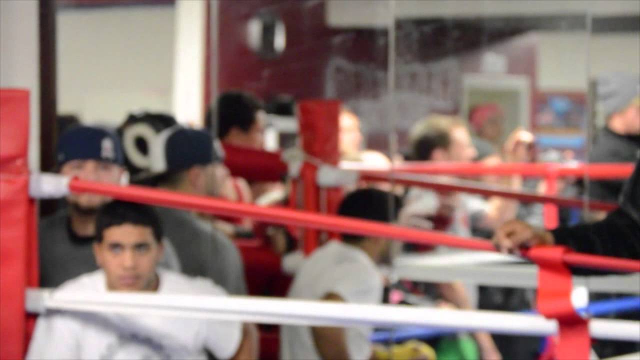 SUPER ELITE BOXING NEWS MEDIA COVERAGE