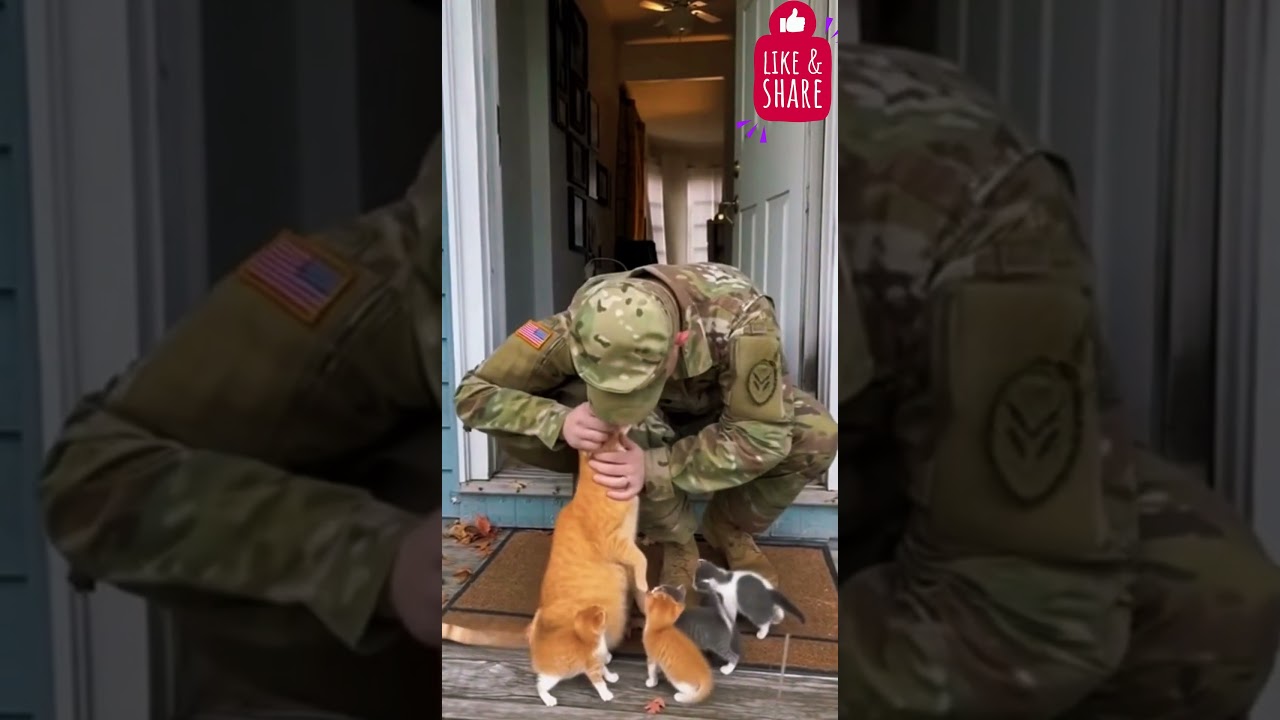 Soldier Comes Home to the Sweetest Cat Reunion Ever