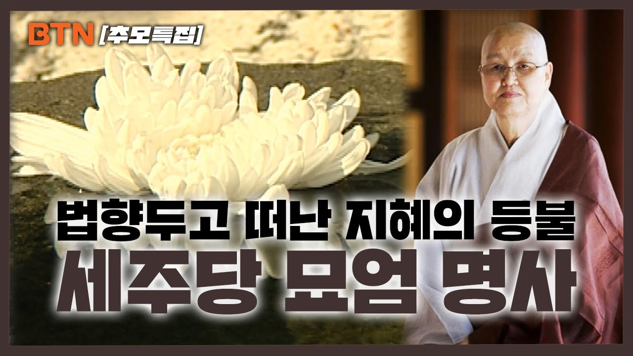 [BTN 추모 특집] 법향두고 떠난 지혜의 등불 세주당 묘엄 명사