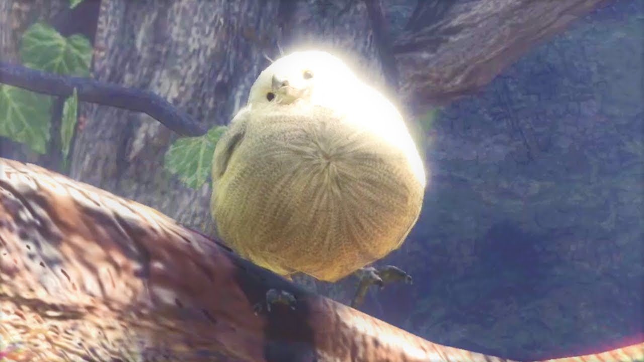 【MHW】一人ぼっちのフワフワクイナ