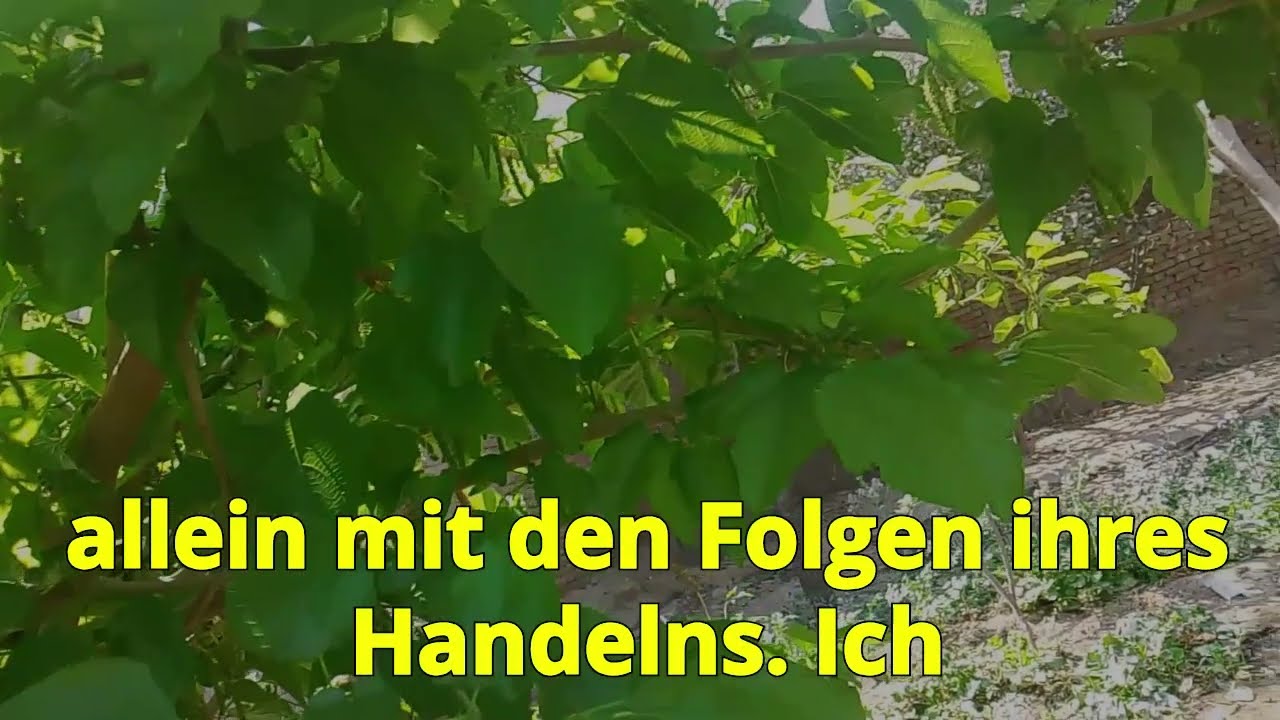 Um 1 Uhr schrieb meine Frau: „Warte heute Nacht nicht auf mich
