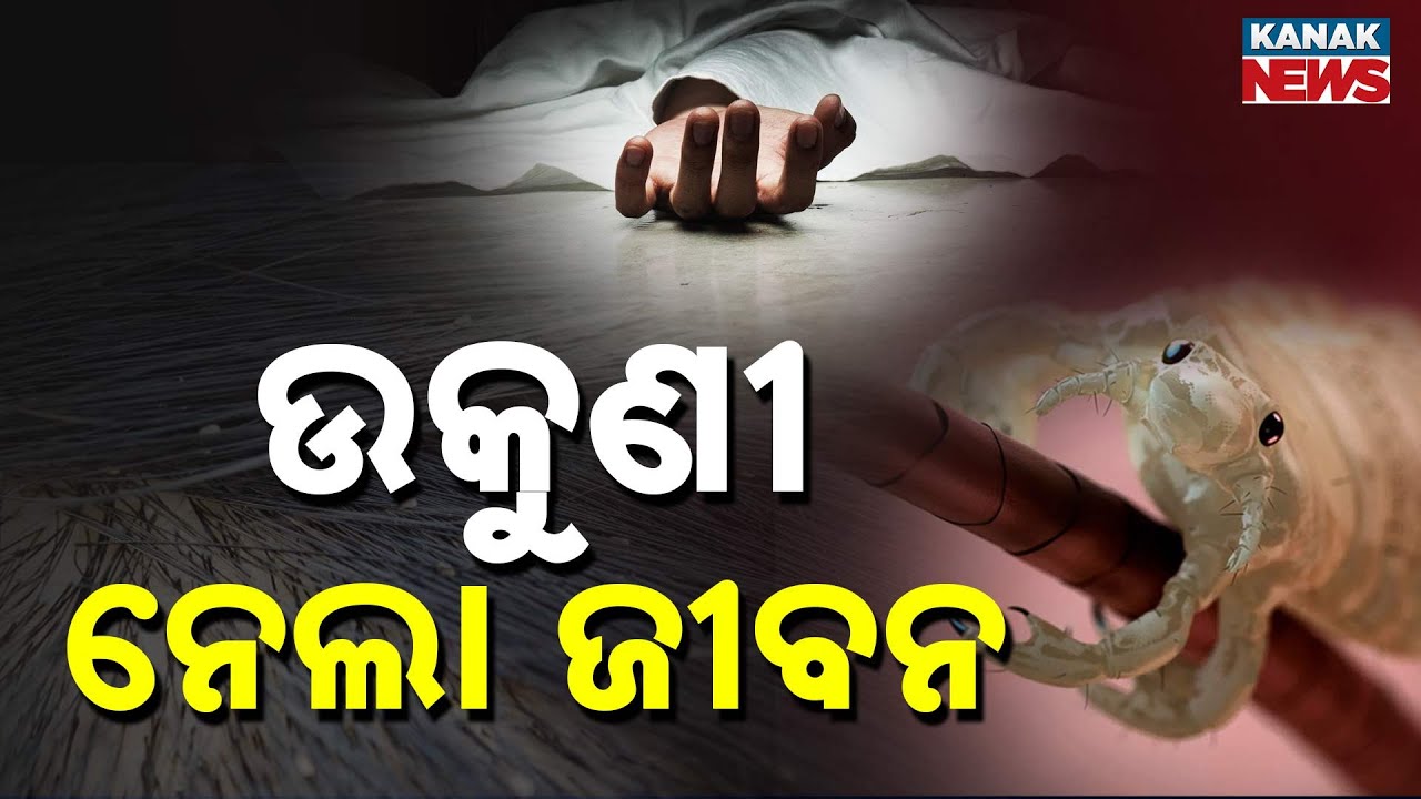 Shocking! 12-Year-Old Girl Dies Due to Severe Head Lice Infection in Odisha