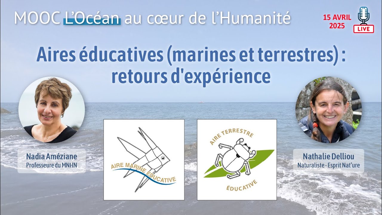 Aires éducatives (marines et terrestres) : retours d'expérience / Nadia Améziane et Nathalie Delliou