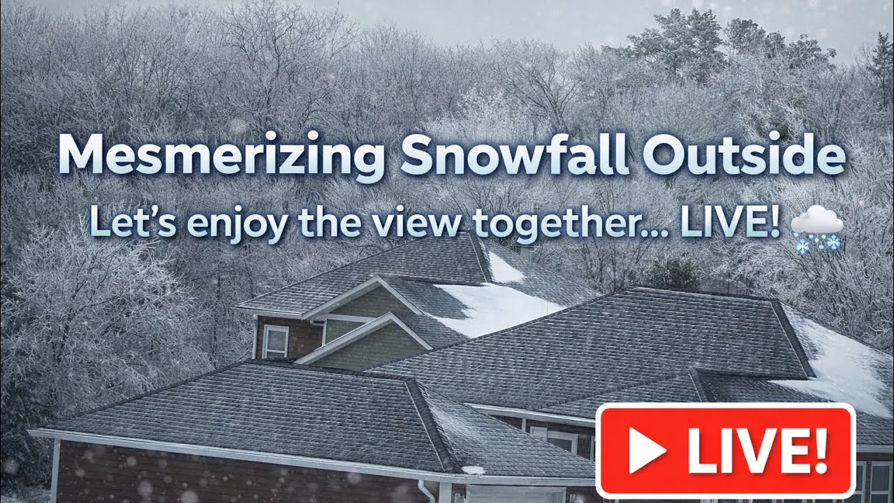 Mesmerising Nature after snowfall ❄️Let’s enjoy the view together… LIVE from Canada 🇨🇦❄️