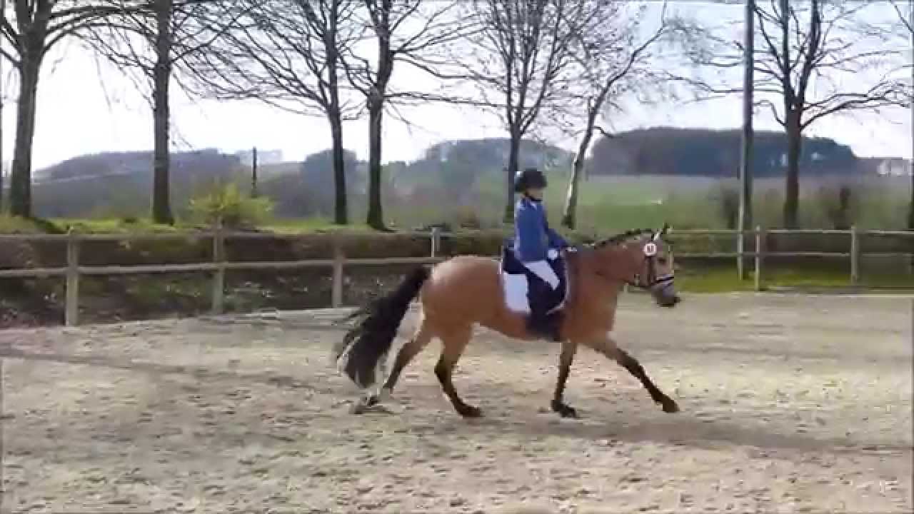 Lia & Alfi - Reiterwettbewerb Borgloh 2015