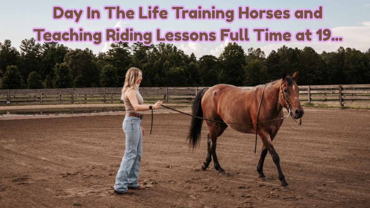 Being A Horse Trainer at 19... A REAL DAY