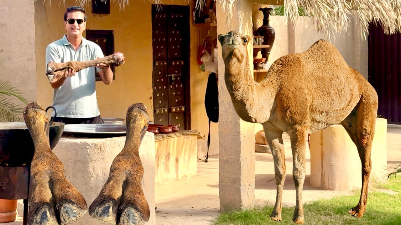 Camel Foot Cooking & Distribution in Workers||How to Make Camel Foot||Wahab Kamran