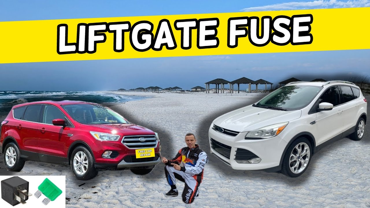 Расположение предохранителей в задней двери Ford Escape LIFTGATE 2013 2014 2015 2016 2017 2018 2019