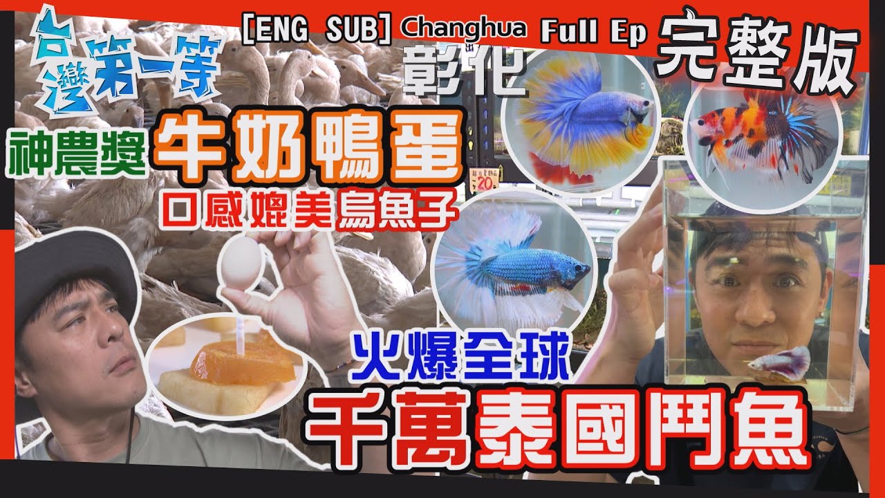 [全新] Betta【神農獎