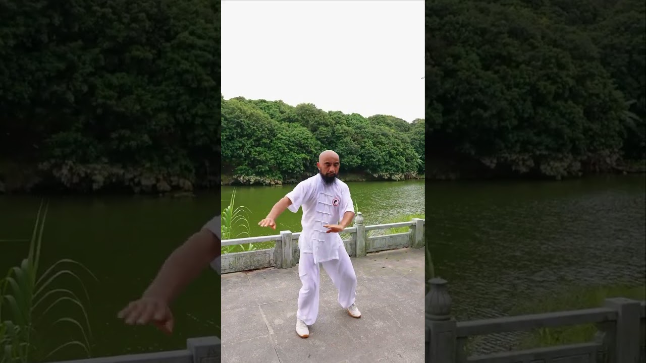 Chen-style Taijiquan 