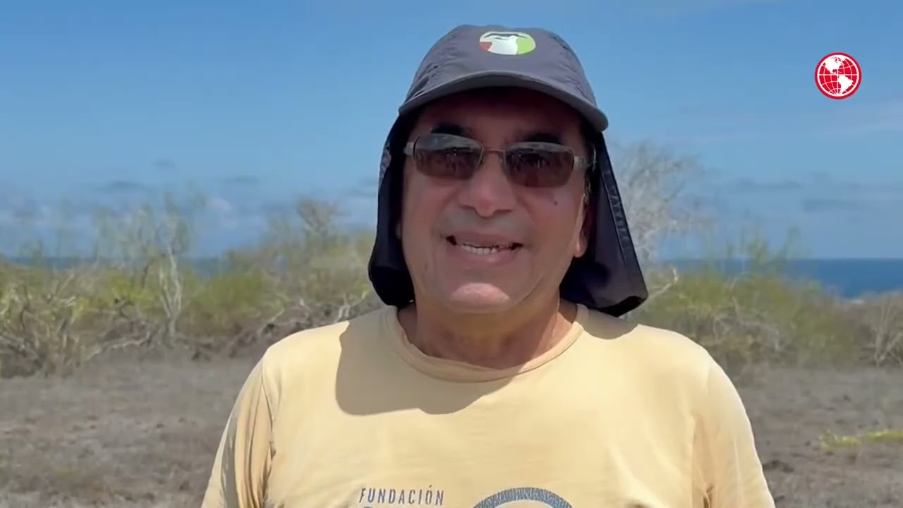 Tortugas gigantes vuelven a caminar en isla de las Galápagos por primera vez en 180 años