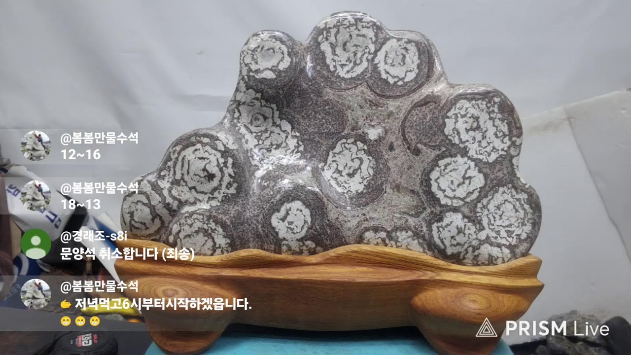 🫱봄봄만물수석 1월24일 🫱가이다시💖꽃돌남한강.유튜브실시간경매.수석판매.구입.서울.부산.대구.대전.광주.인천.울산.김천.옥과.팔도.푸르미.대박.