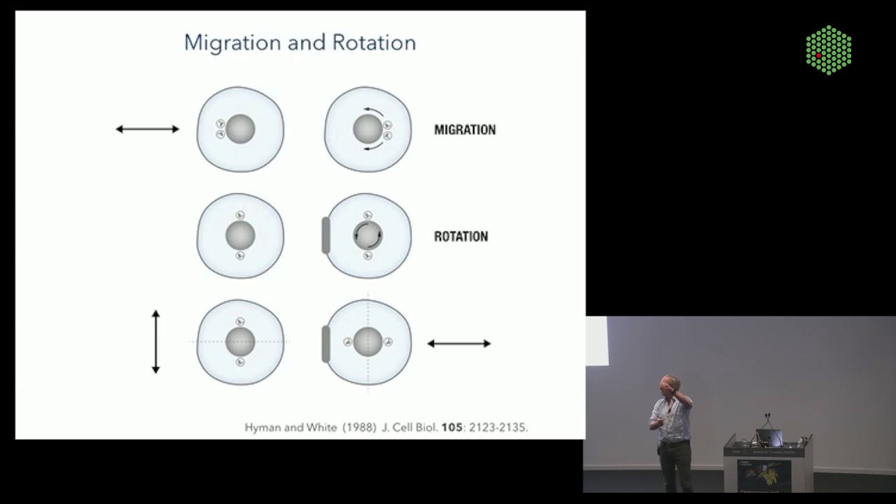 EMBL Keynote Lecture - Career talk, Anthony Hyman