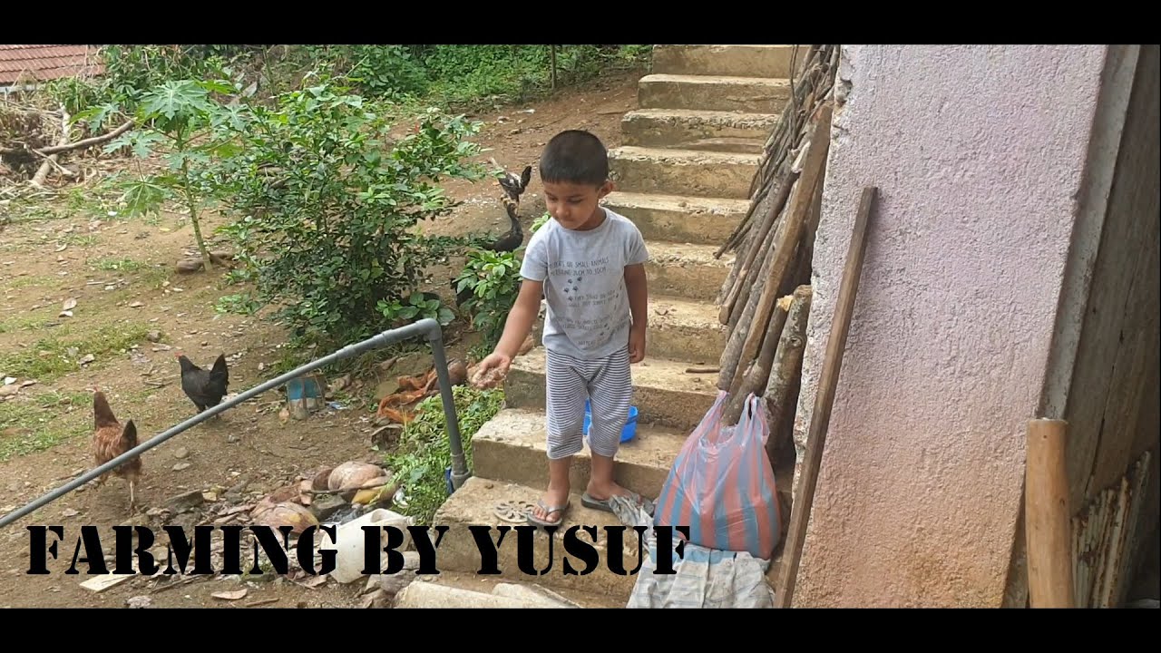 Farming by Yusuf Part 01